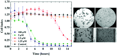 Graphical abstract: Interdependence of initial cell density, drug concentration and exposure time revealed by real-time impedance spectroscopic cytotoxicity assay