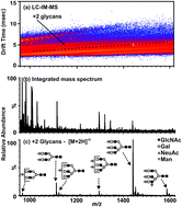 Graphical abstract: Non-derivatized glycan analysis by reverse phase liquid chromatography and ion mobility-mass spectrometry