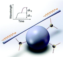 Graphical abstract: Ratiometric detection of oligonucleotide stoichiometry on multifunctional gold nanoparticles by whispering gallery mode biosensing