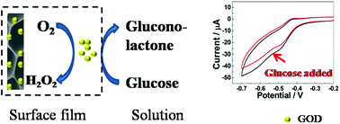 Graphical abstract: A glucose biosensor based on glucose oxidase immobilized on three-dimensional porous carbon electrodes