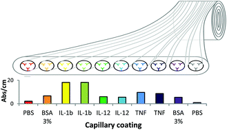 Graphical abstract: Multiplexed femtomolar quantitation of human cytokines in a fluoropolymer microcapillary film