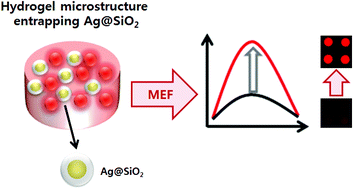 Graphical abstract: Ag@SiO2-entrapped hydrogel microarray: a new platform for a metal-enhanced fluorescence-based protein assay