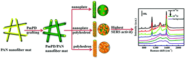 Graphical abstract: Controlled growth of polyhedral and plate-like Ag nanocrystals on a nanofiber mat as a SERS substrate