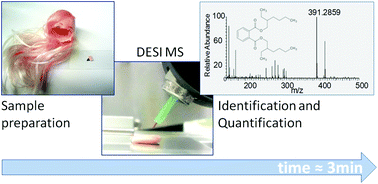 Graphical abstract: DESI MS based screening method for phthalates in consumer goods