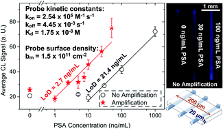 Graphical abstract: A microfluidic immunoassay platform for the detection of free prostate specific antigen: a systematic and quantitative approach