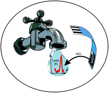 Graphical abstract: Screen-printed back-to-back electroanalytical sensors: heavy metal ion sensing