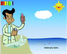 Graphical abstract: Fluorescent and colorimetric sensors for environmental mercury detection