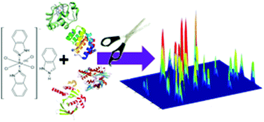 Graphical abstract: A shotgun metalloproteomic approach enables identification of proteins involved in the speciation of a ruthenium anticancer drug in the cytosol of cancer cells