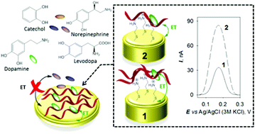 Graphical abstract: Surface state of the dopamine RNA aptamer affects specific recognition and binding of dopamine by the aptamer-modified electrodes