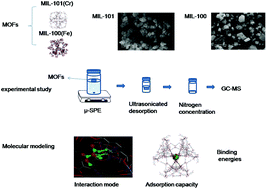 Graphical abstract: Metal–organic framework MIL-101(Cr) as a sorbent of porous membrane-protected micro-solid-phase extraction for the analysis of six phthalate esters from drinking water: a combination of experimental and computational study