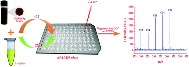 Graphical abstract: CuFe2O4 magnetic nanocrystal clusters as a matrix for the analysis of small molecules by negative-ion matrix-assisted laser desorption/ionization time-of-flight mass spectrometry