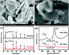 Graphical abstract: Facile synthesis of boron- and nitride-doped MoS2 nanosheets as fluorescent probes for the ultrafast, sensitive, and label-free detection of Hg2+