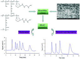 Graphical abstract: Ionic liquid-based zwitterionic organic polymer monolithic column for capillary hydrophilic interaction chromatography
