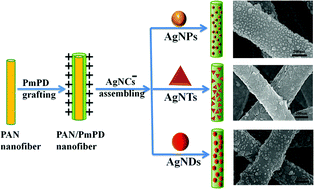 Graphical abstract: Self-assembly of various silver nanocrystals on PmPD/PAN nanofibers as a high-performance 3D SERS substrate