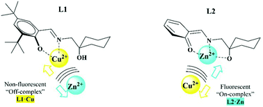 Graphical abstract: Two fluorescent Schiff base sensors for Zn2+: the Zn2+/Cu2+ ion interference