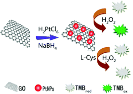 Graphical abstract: Platinum nanoparticles/graphene-oxide hybrid with excellent peroxidase-like activity and its application for cysteine detection