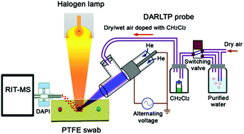 Graphical abstract: Dopant-assisted reactive low temperature plasma probe for sensitive and specific detection of explosives