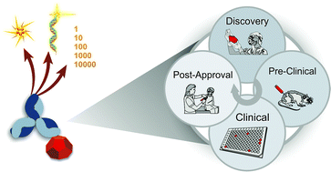 Graphical abstract: Highly sensitive ligand-binding assays in pre-clinical and clinical applications: immuno-PCR and other emerging techniques