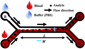 Graphical abstract: Capillarity-driven blood plasma separation on paper-based devices