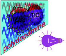 Graphical abstract: A biomimetic mussel-inspired photoelectrochemical biosensing chip for the sensitive detection of CD146