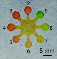 Graphical abstract: An instrument-free, screen-printed paper microfluidic device that enables bio and chemical sensing