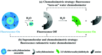 Graphical abstract: A novel cascade strategy with supramolecular and chemodosimetric methods for designing a fluorescent ratiometric detector hypersensitive to trace water