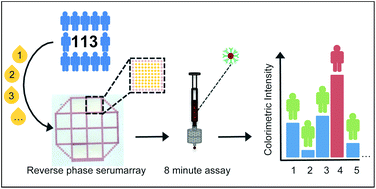 Graphical abstract: An 8 minute colorimetric paper-based reverse phase vertical flow serum microarray for screening of hyper IgE syndrome