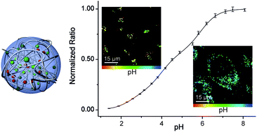 Graphical abstract: A hydrogel based nanosensor with an unprecedented broad sensitivity range for pH measurements in cellular compartments