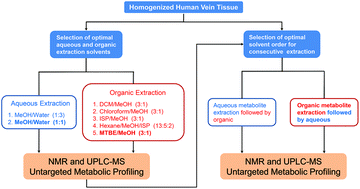 Graphical abstract: Optimization of metabolite extraction of human vein tissue for ultra performance liquid chromatography-mass spectrometry and nuclear magnetic resonance-based untargeted metabolic profiling