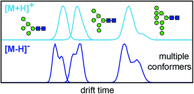 Graphical abstract: Collision cross sections of high-mannose N-glycans in commonly observed adduct states – identification of gas-phase conformers unique to [M − H]− ions