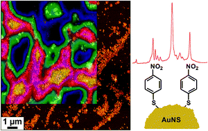 Graphical abstract: Gold nanosponges (AuNS): a versatile nanostructure for surface-enhanced Raman spectroscopic detection of small molecules and biomolecules