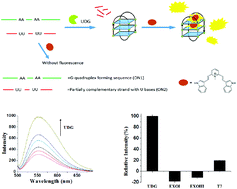 Graphical abstract: Sensitive and selective detection of uracil-DNA glycosylase activity with a new pyridinium luminescent switch-on molecular probe