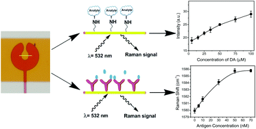 Graphical abstract: Label-free biosensors based on in situ formed and functionalized microwires in microfluidic devices