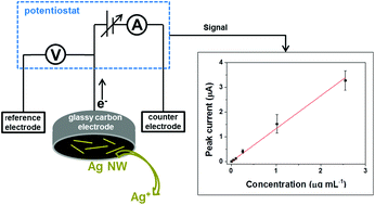 Graphical abstract: Electrochemical monitoring of colloidal silver nanowires in aqueous samples