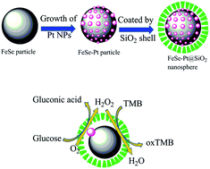Graphical abstract: Double enzymatic cascade reactions within FeSe–Pt@SiO2 nanospheres: synthesis and application toward colorimetric biosensing of H2O2 and glucose
