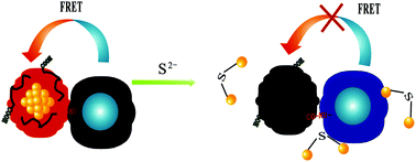 Graphical abstract: Fluorescence resonance energy transfer-based ratiometric fluorescent assay for highly sensitive and selective determination of sulfide anions