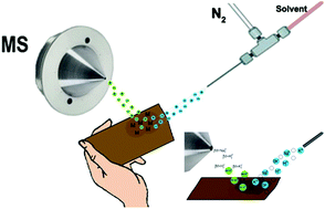 Graphical abstract: Food quality and authenticity screening via easy ambient sonic-spray ionization mass spectrometry