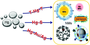 Graphical abstract: Nanomaterial-based approaches for the detection and speciation of mercury