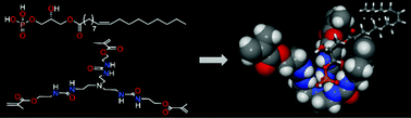 Graphical abstract: Templated polymers enable selective capture and release of lysophosphatidic acid in human plasma via optimization of non-covalent binding to functional monomers