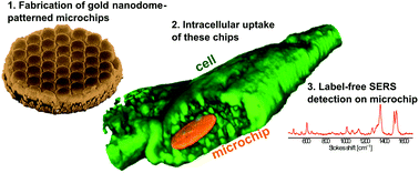 Graphical abstract: Gold nanodome-patterned microchips for intracellular surface-enhanced Raman spectroscopy