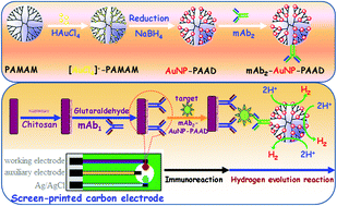 Graphical abstract: Sensitive electrochemical immunoassay with signal enhancement based on nanogold-encapsulated poly(amidoamine) dendrimer-stimulated hydrogen evolution reaction