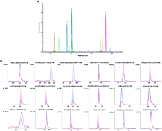 Graphical abstract: An MRM-based workflow for absolute quantitation of lysine-acetylated metabolic enzymes in mouse liver