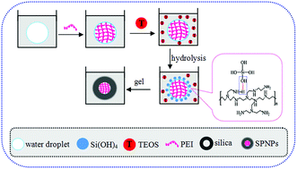 Graphical abstract: Highly sensitive detection of copper ions by densely grafting fluorescein inside polyethyleneimine core–silica shell nanoparticles