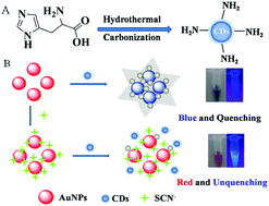 Graphical abstract: A dual-mode colorimetric and fluorometric “light on” sensor for thiocyanate based on fluorescent carbon dots and unmodified gold nanoparticles