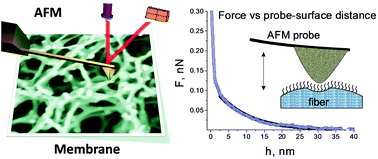 Graphical abstract: A study of molecular adsorption of a cationic surfactant on complex surfaces with atomic force microscopy