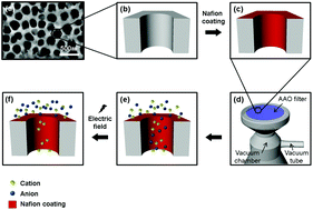 Graphical abstract: Role of the electric field in selective ion filtration in nanostructures