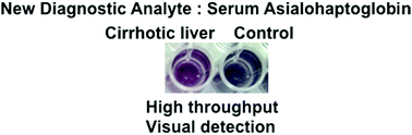 Graphical abstract: Visual detection of serum asialohaptoglobin by plasmonic sandwich ELLSA – a new platform for cirrhosis diagnosis