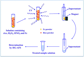 Graphical abstract: UV-assisted Fenton digestion of rice for the determination of trace cadmium by hydride generation atomic fluorescence spectrometry