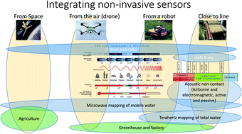 Graphical abstract: Non-invasive sensing for food reassurance
