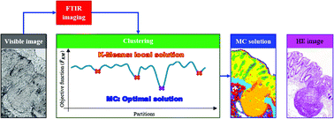 Graphical abstract: Development of a memetic clustering algorithm for optimal spectral histology: application to FTIR images of normal human colon